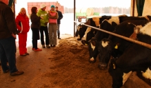 Eiropas Komisija nolemj Latvijas piena ražotājiem piešķirt 9,76 miljonu eiro atbalstu