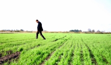 Latvijā veiks reprezentatīvu augsnes agroķīmisko izpēti – lauksaimnieki, esat atsaucīgi!