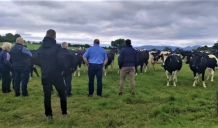 Īrijas paraugstunda Latvijas pārstāvjiem – kooperācija piena nozarē jāceļ visos līmeņos
