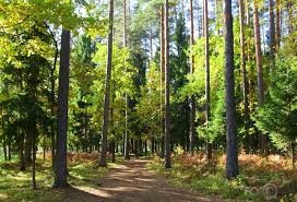 Semināru cikla „Mežsaimniecības kooperācija kā ilgtspējīga meža apsaimniekošana” organizēšana