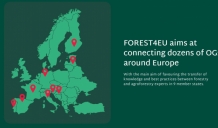 Arī eksperti no Latvijas iesaistās projektā, kas pēta lauksaimniecības un mežsaimniecības sinerģiju