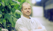 Latvijas siltumnīcu gurķi un tomāti arī ziemā